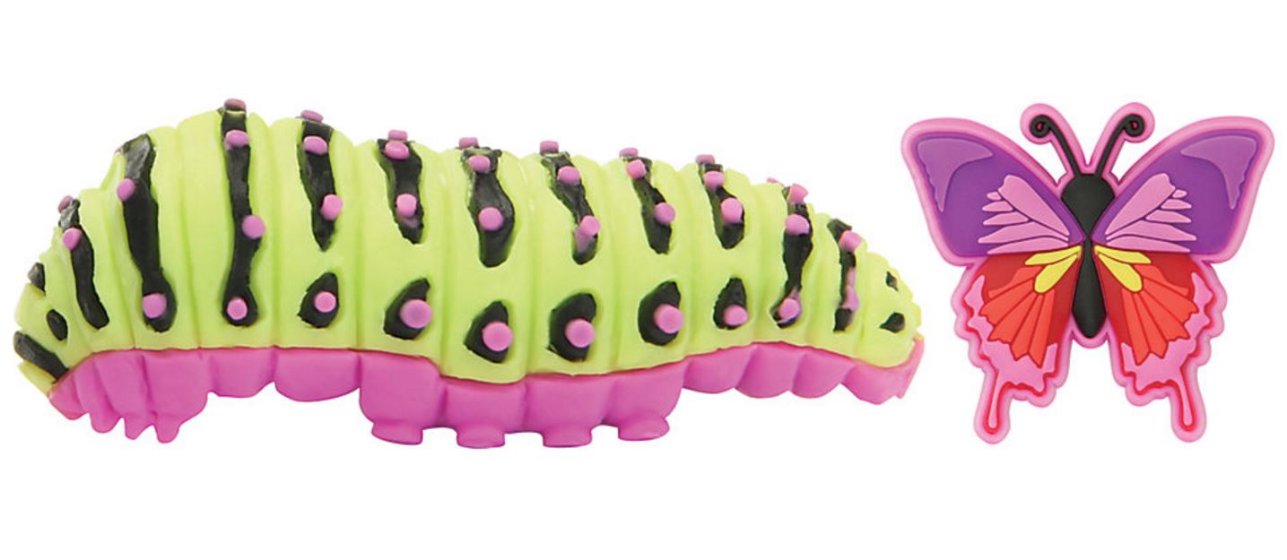 Caterpillar & Butterfly 3D 2-Pack 2